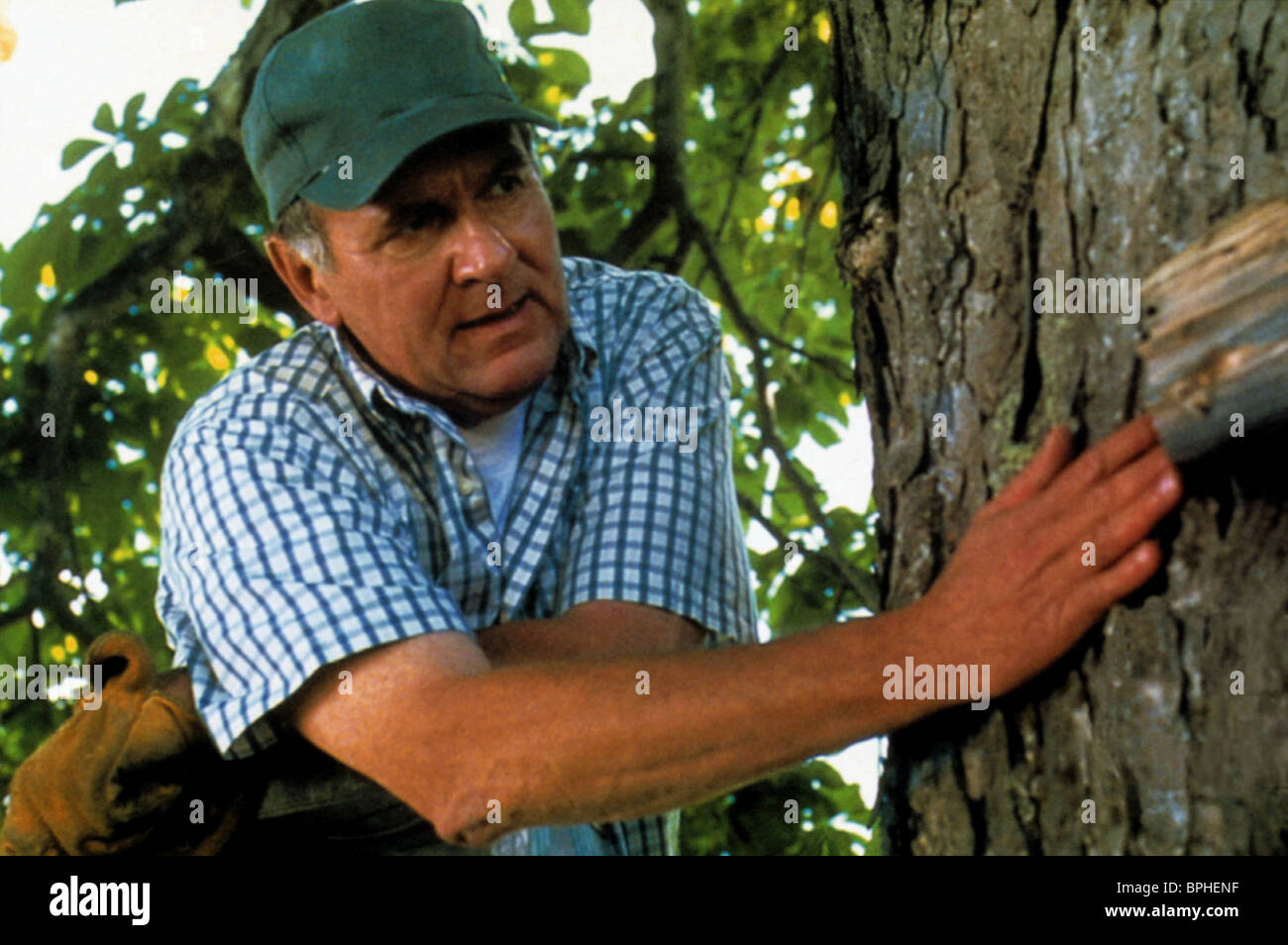 Tom Wilkinson In The Bedroom 2001 Stock Photo 31117563 Alamy