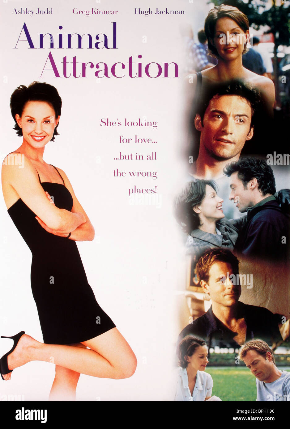 Ashley Judd Film Poster Animal Attraction Someone Like You 01 Stock Photo Alamy