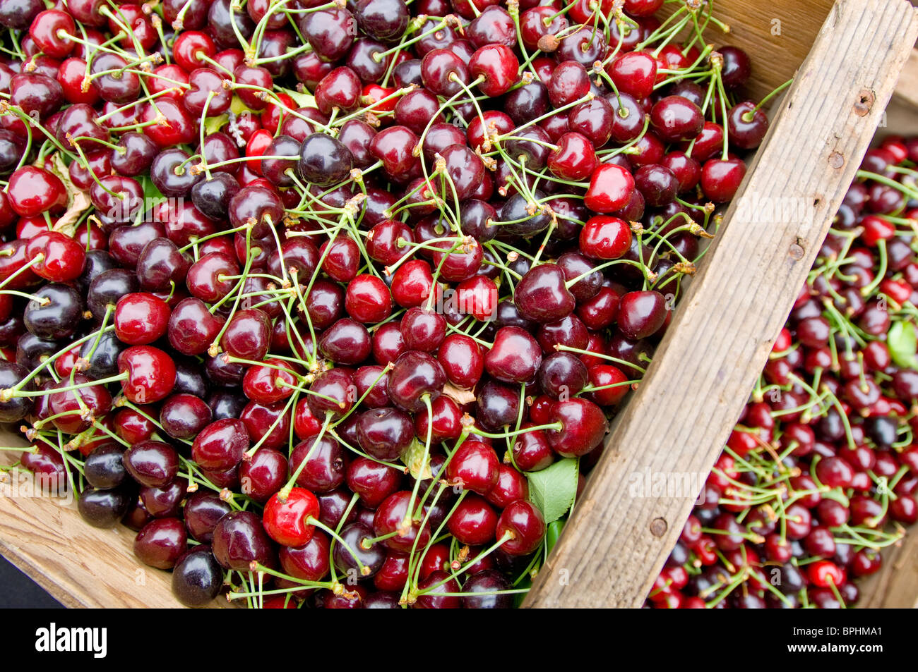 Fresh, freshly picked organic cherries in wooden boxes on sale at a morning market in Healdsberg, Sonoma Stock Photo