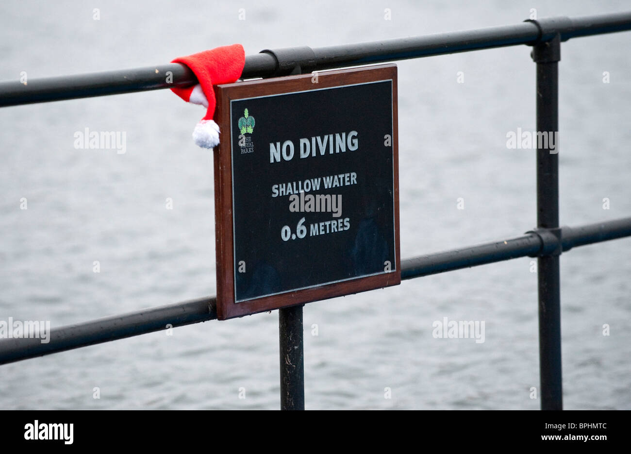 Serpentine Swimming Club's Christmas Day swim in Hyde Park London UK Stock Photo