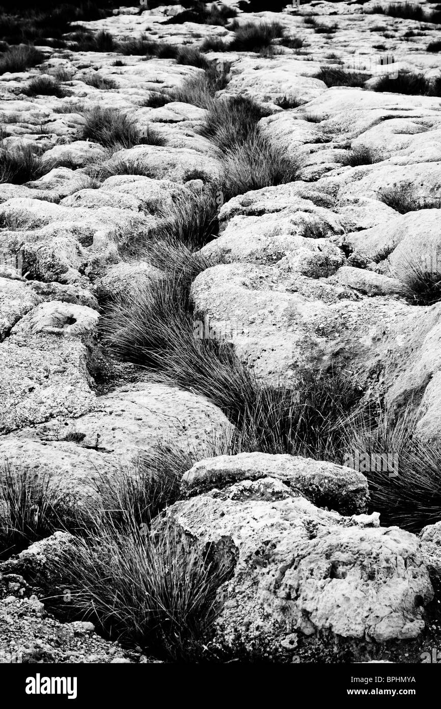 Beautiful rocky beach in Black and White Stock Photos & Images - Alamy