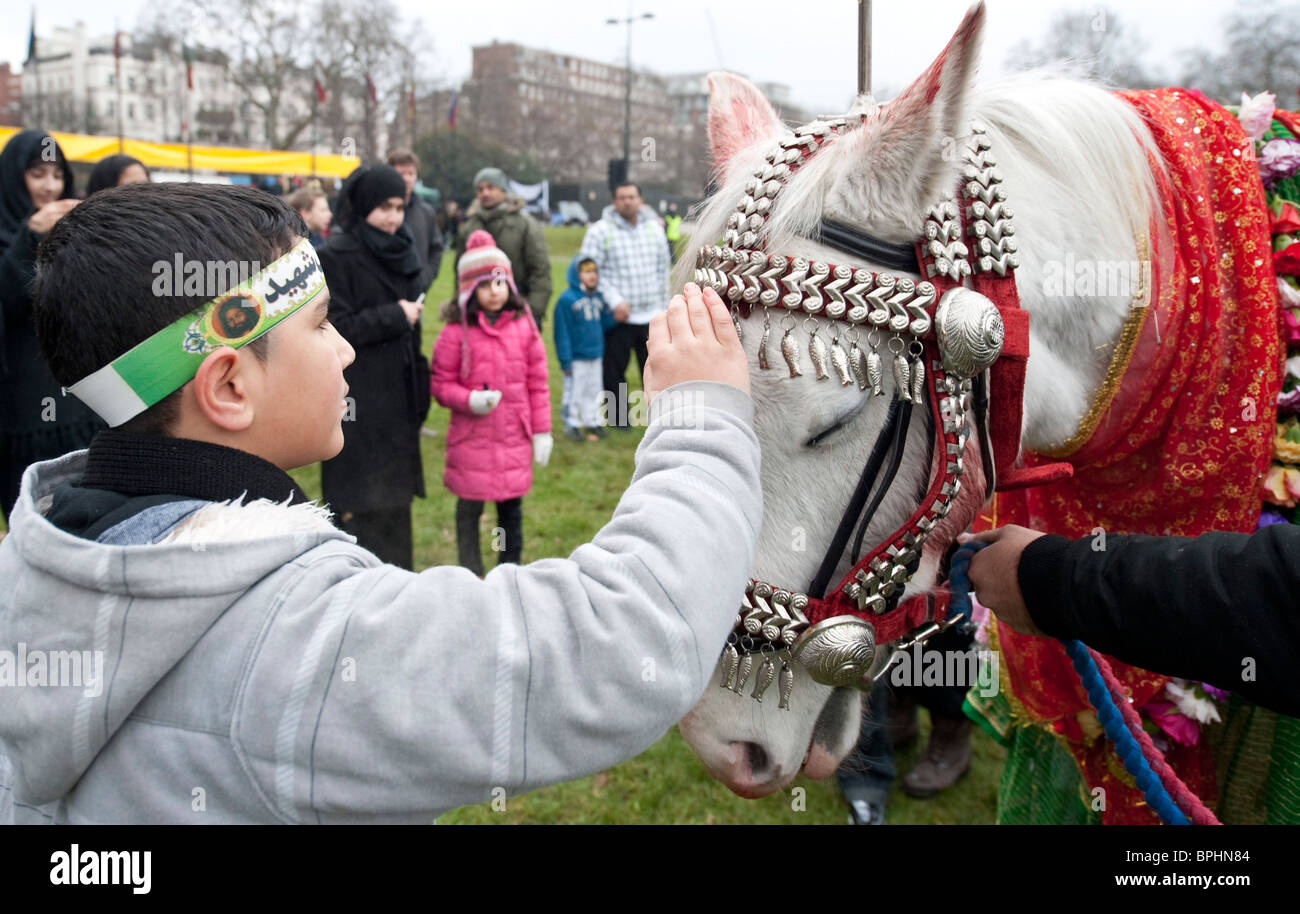 A shia muslim boy touches the ceremonial horse at Arbaeen procession in central London UK Stock Photo