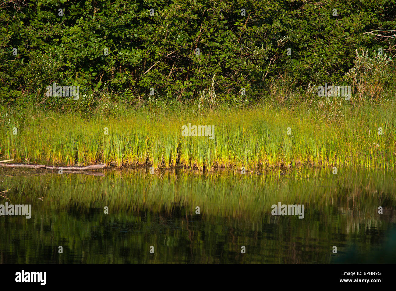 The Sable River Michigan MI Lower Peninsula with beautiful landscape pictures images photos large high resolution horizontal in USA US hi-res Stock Photo