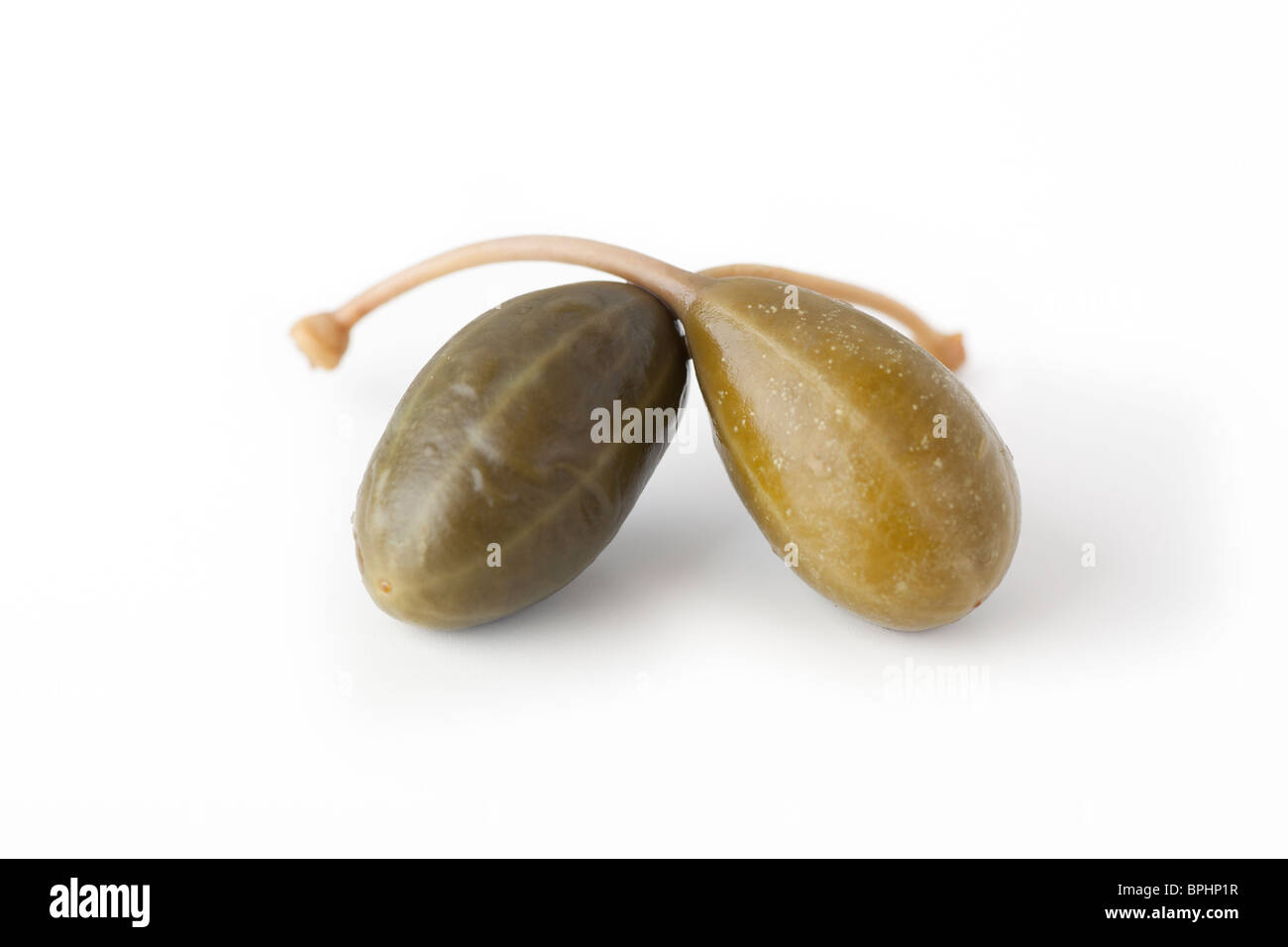 Two capers isolated on a white background. Stock Photo