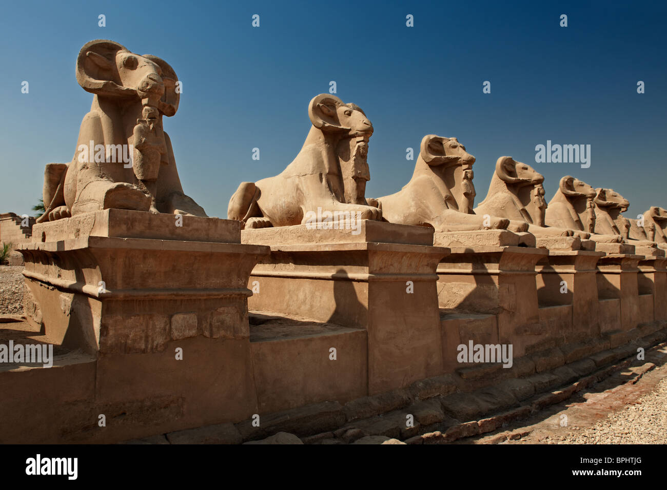 Corridor of ram-headed sphinxes at entrance of Karnak Temple Complex, Luxor, Thebes, Egypt, Arabia, Africa Stock Photo