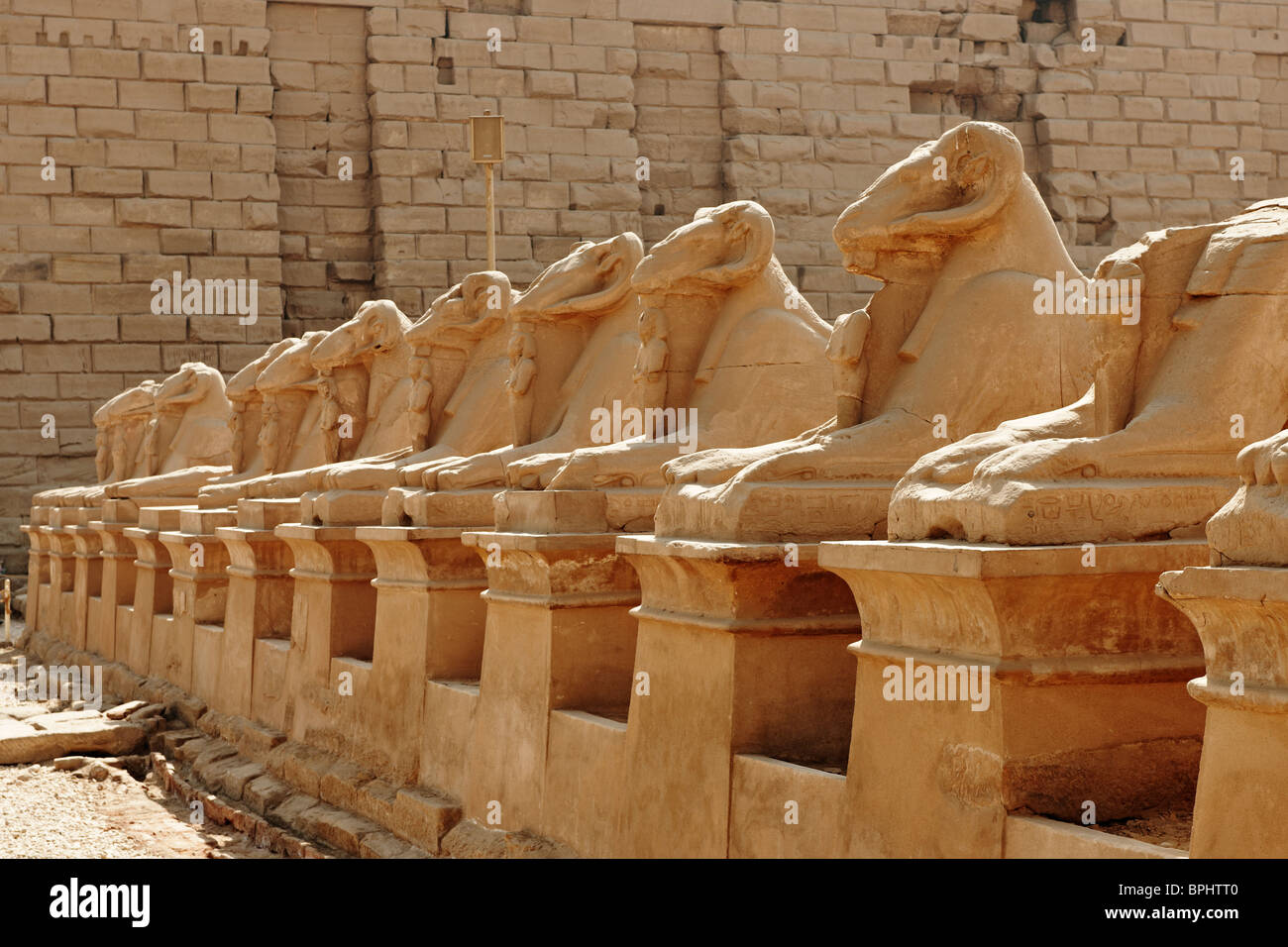 Corridor of ram-headed sphinxes at entrance of Karnak Temple Complex, Luxor, Thebes, Egypt, Arabia, Africa Stock Photo