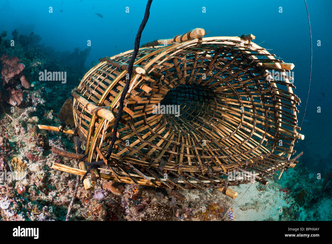 Fish Trap - History, Methods and Types of Fish Traps