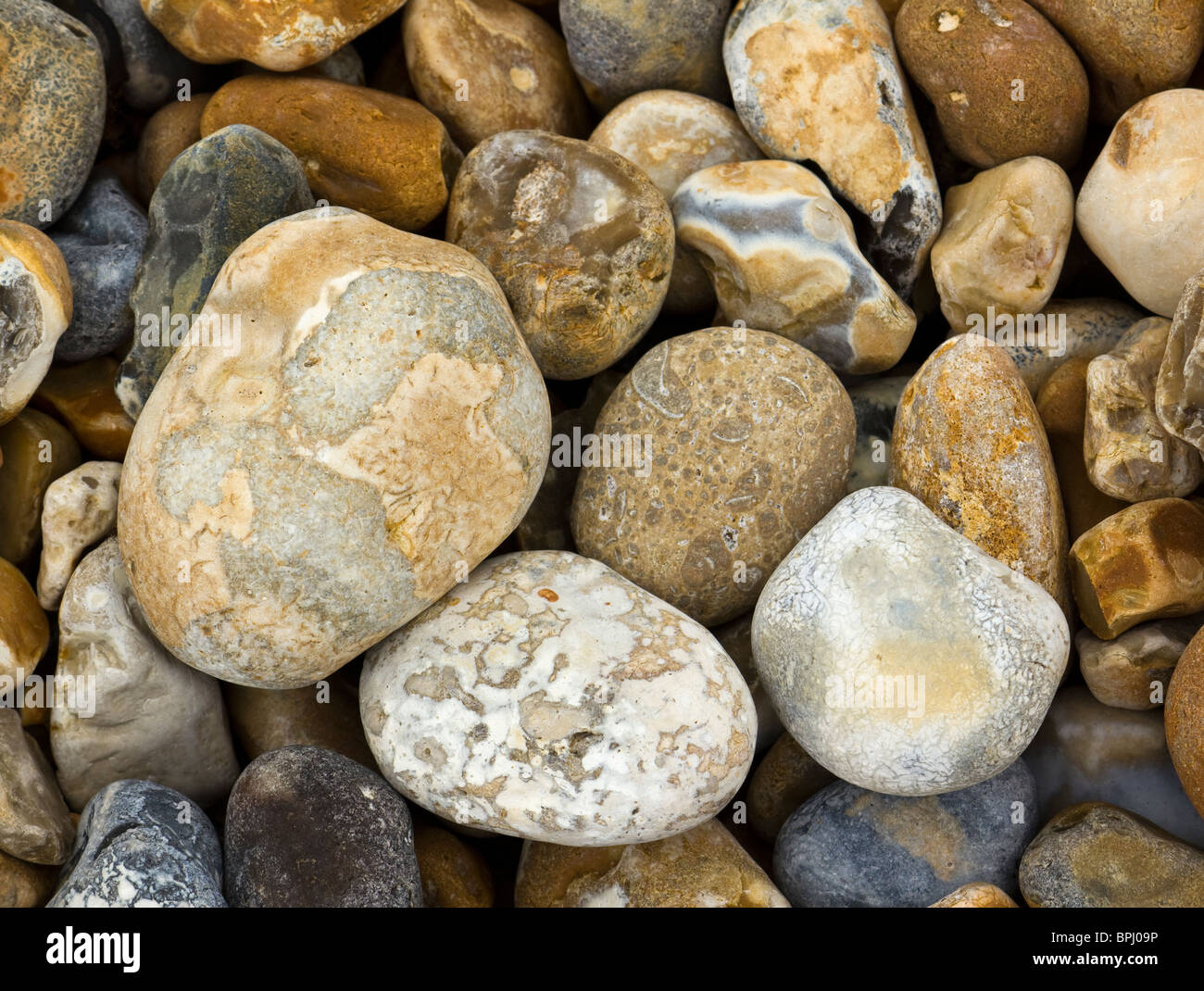 Colourful pebbles on Eastbourne Beach, England, UK Stock Photo