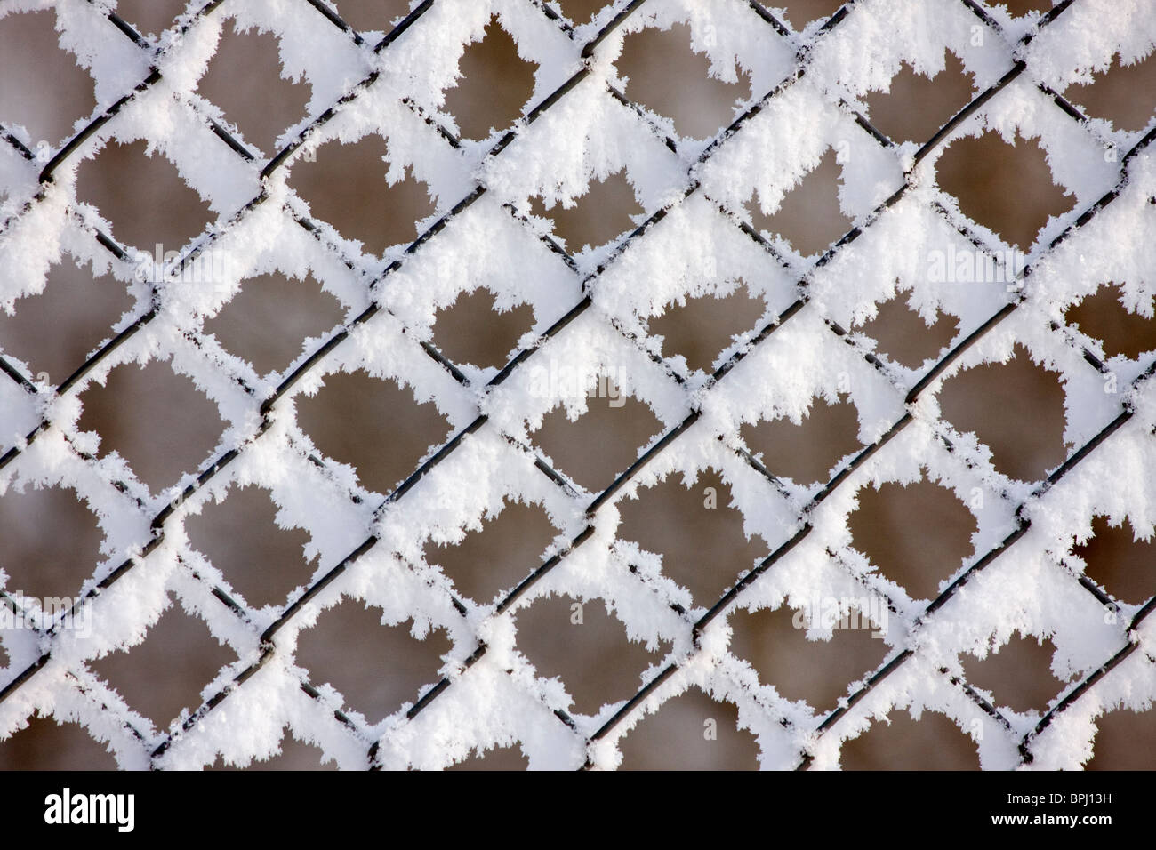Frost and ice on a wire fence in the winter. Stock Photo
