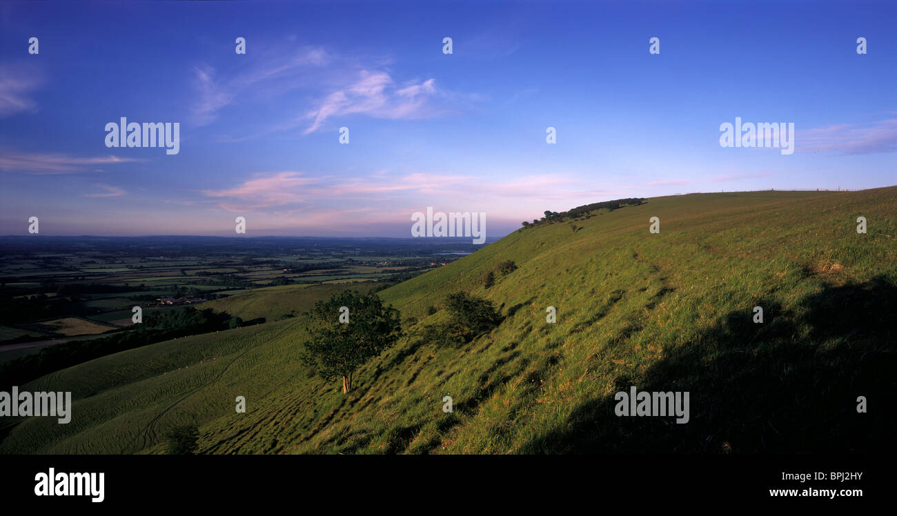 Summer evening view to Firle Beacon, South Downs, East Sussex Stock Photo