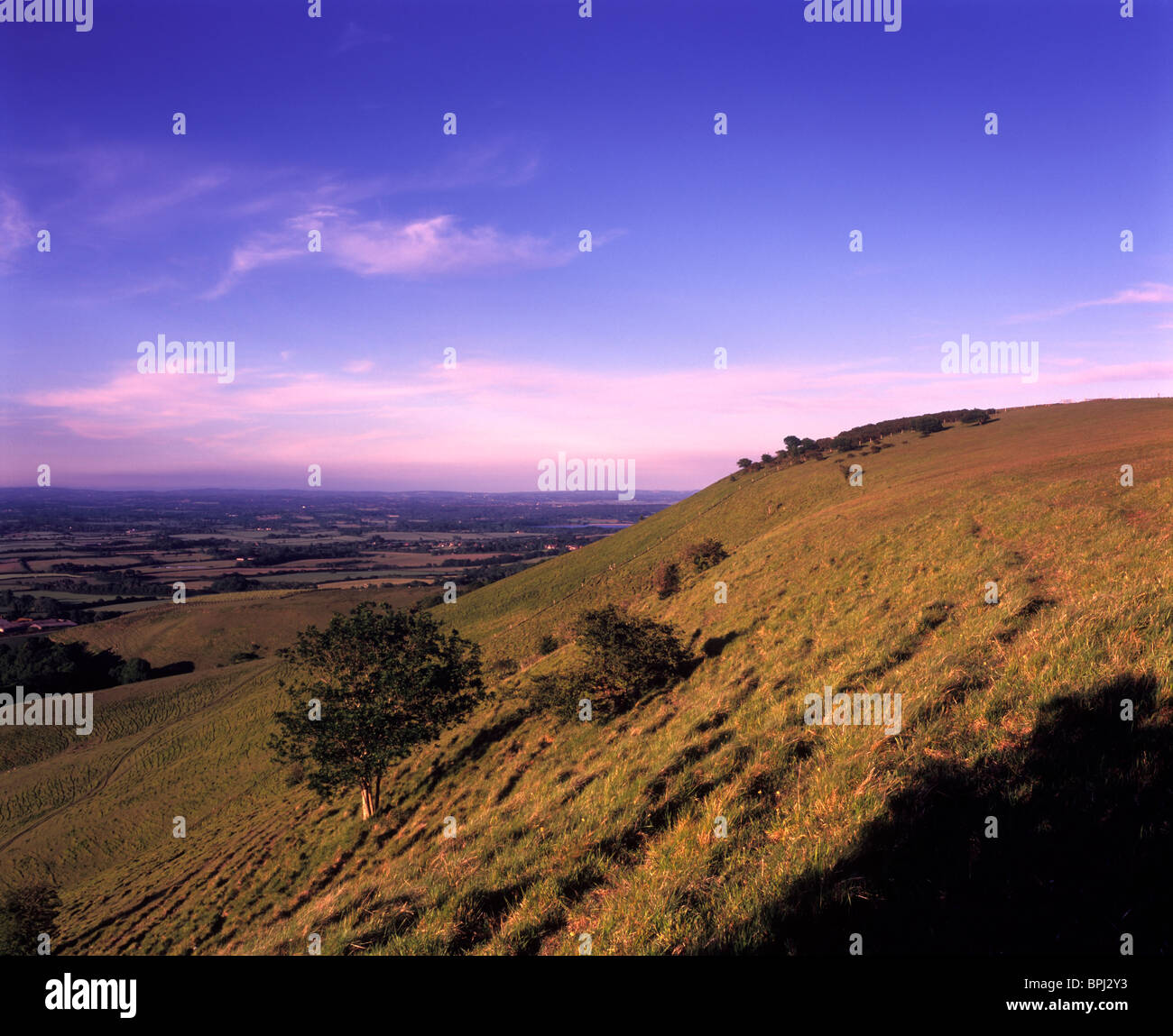 View to Firle Beacon at sunset, East Sussex Stock Photo