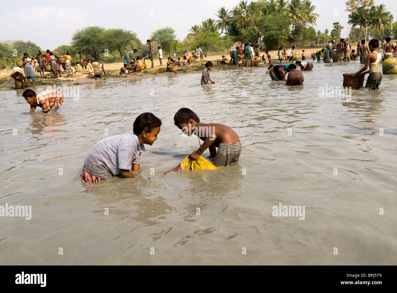 Fishing festival at Venthanpatti  near  Ponnamaravathy , Pudukkottai District, Tamil Nadu; India. Stock Photo