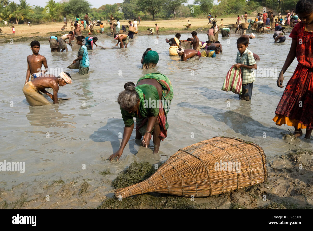 Fishing festival at Venthanpatti near Ponnamaravathy , Pudukkottai