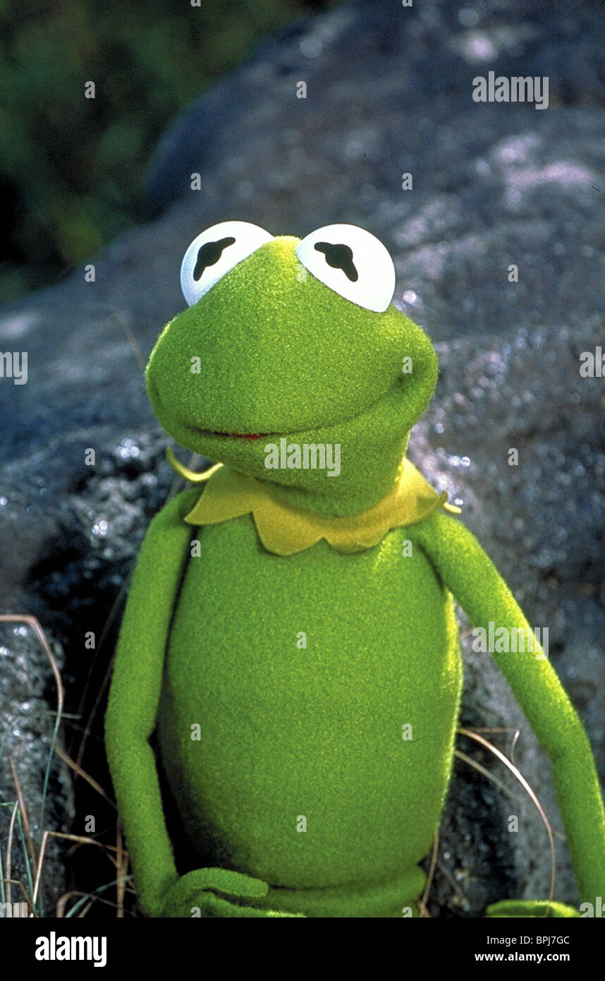 Real Story High Resolution Stock Photography and Images Alamy