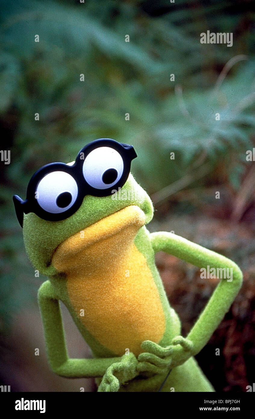 Kermit Goggles Kermits Swamp Years High Resolution Stock Photography
