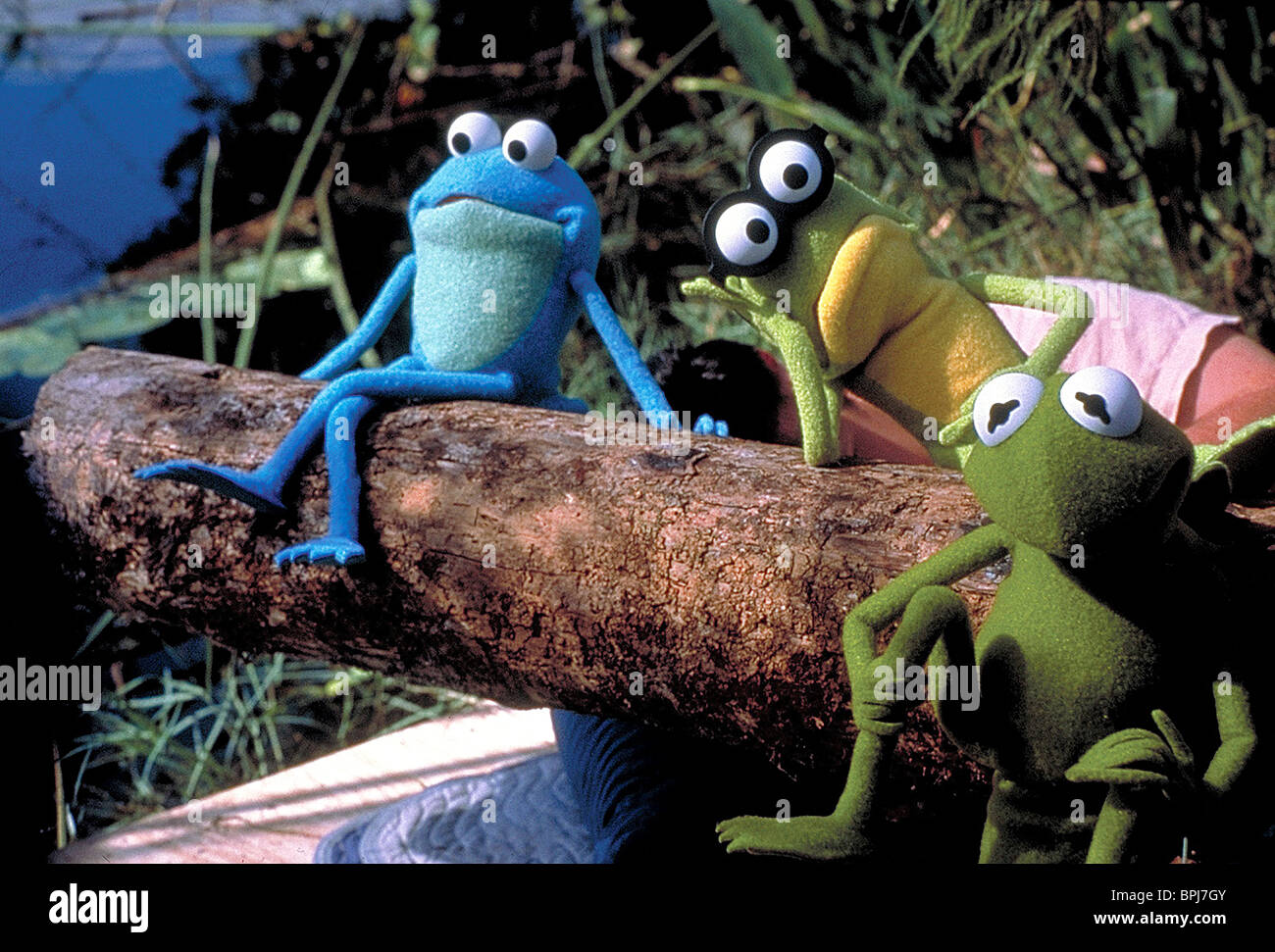 Kermit Goggles Kermits Swamp Years High Resolution Stock Photography