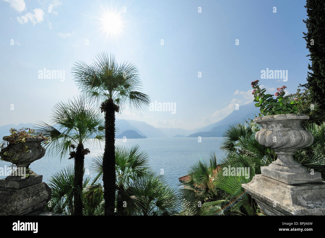Palmtrees in front of Lake lago di Como, Lake lago di Como, Lombardy, Italy Stock Photo