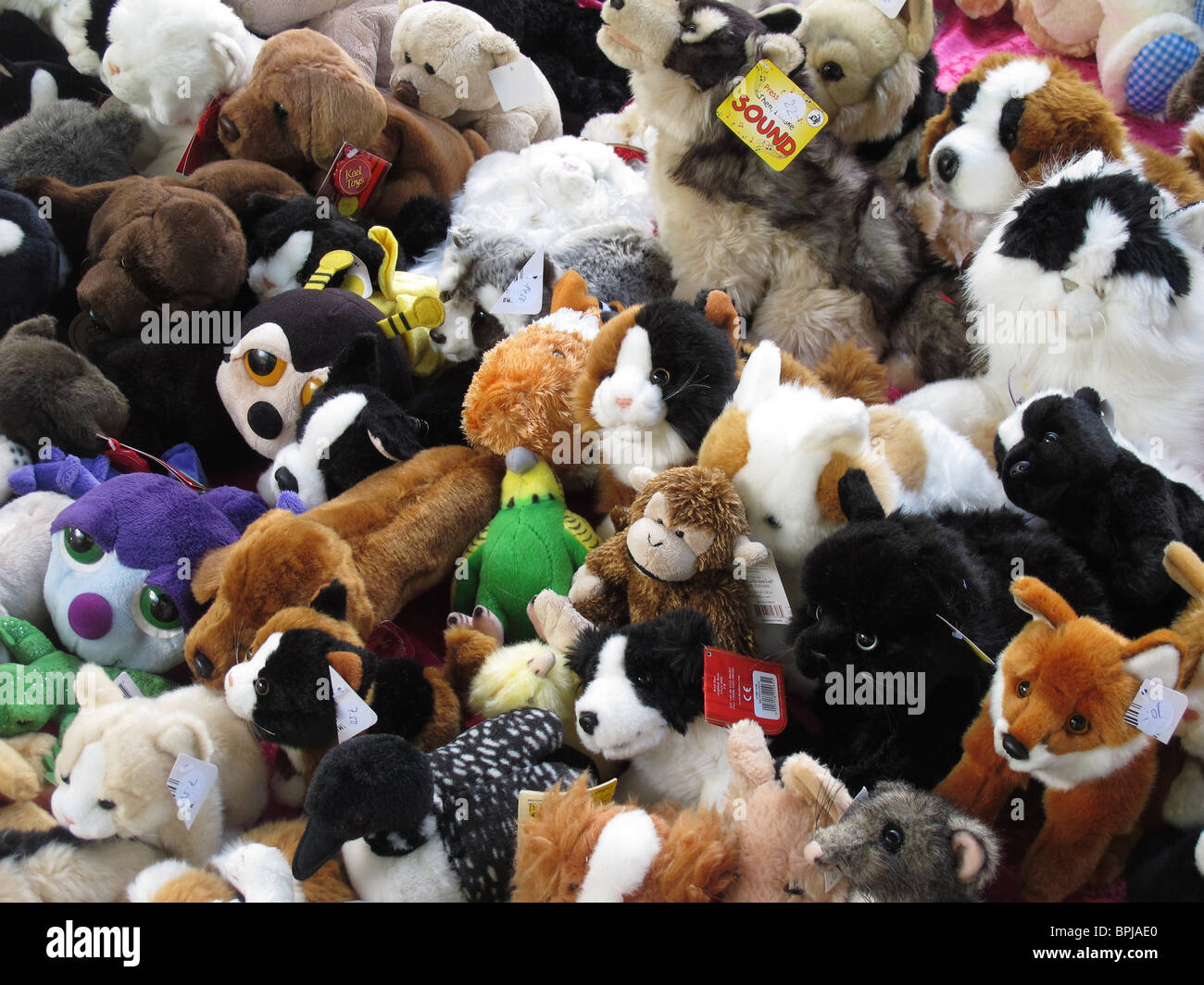 soft toys for sale at Isemarket Stock Photo