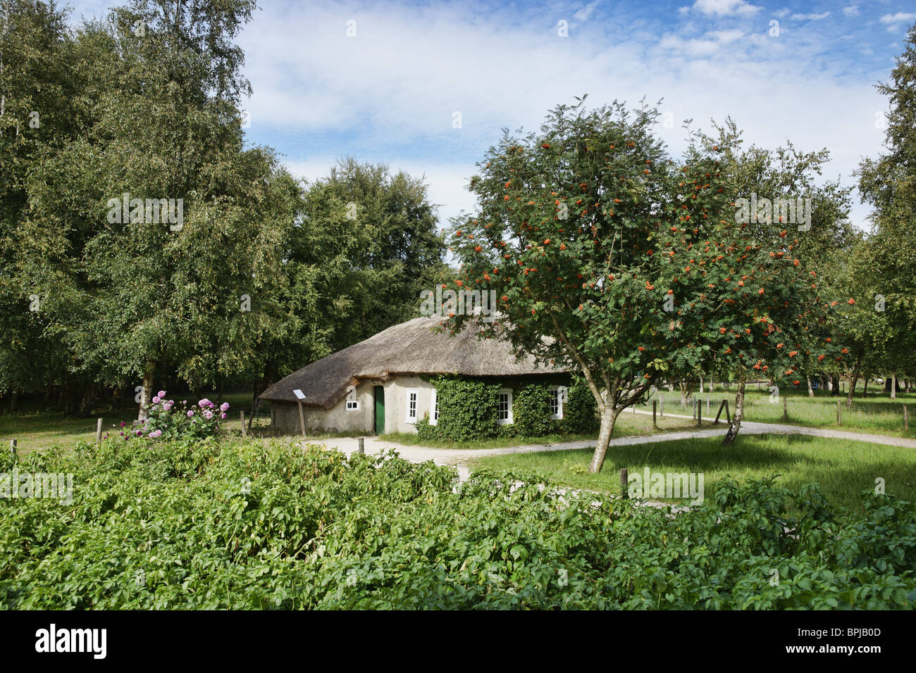 Loam house, Moormuseum Moordorf, East Frisia, Lower Saxony, Germany Stock Photo