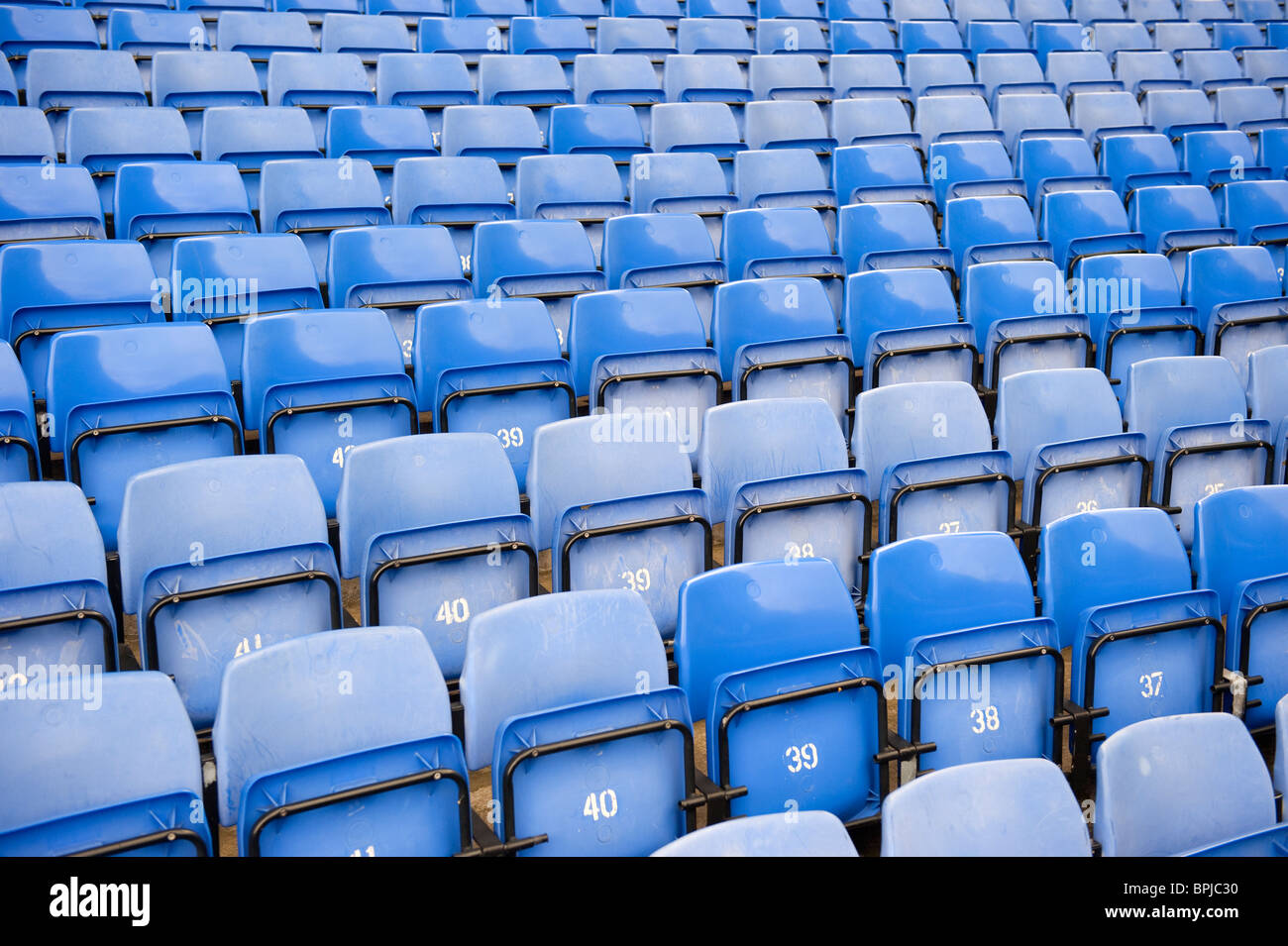 Rows of blue sports stadium seats Stock Photo Alamy