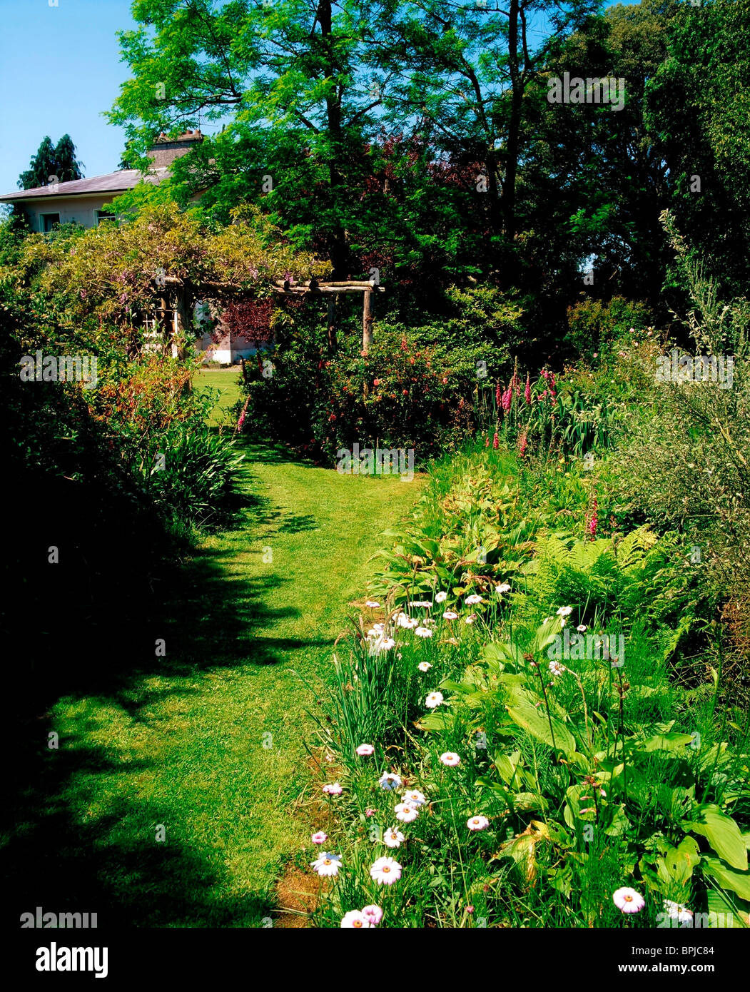 Clogheen Co Tipperary Ireland Glenleigh Gardens Rose Arch Late Spring Stock Photo Alamy