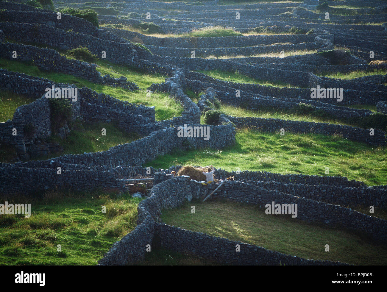 Aran Islands, Co Galway, Ireland, Inisheer Stock Photo