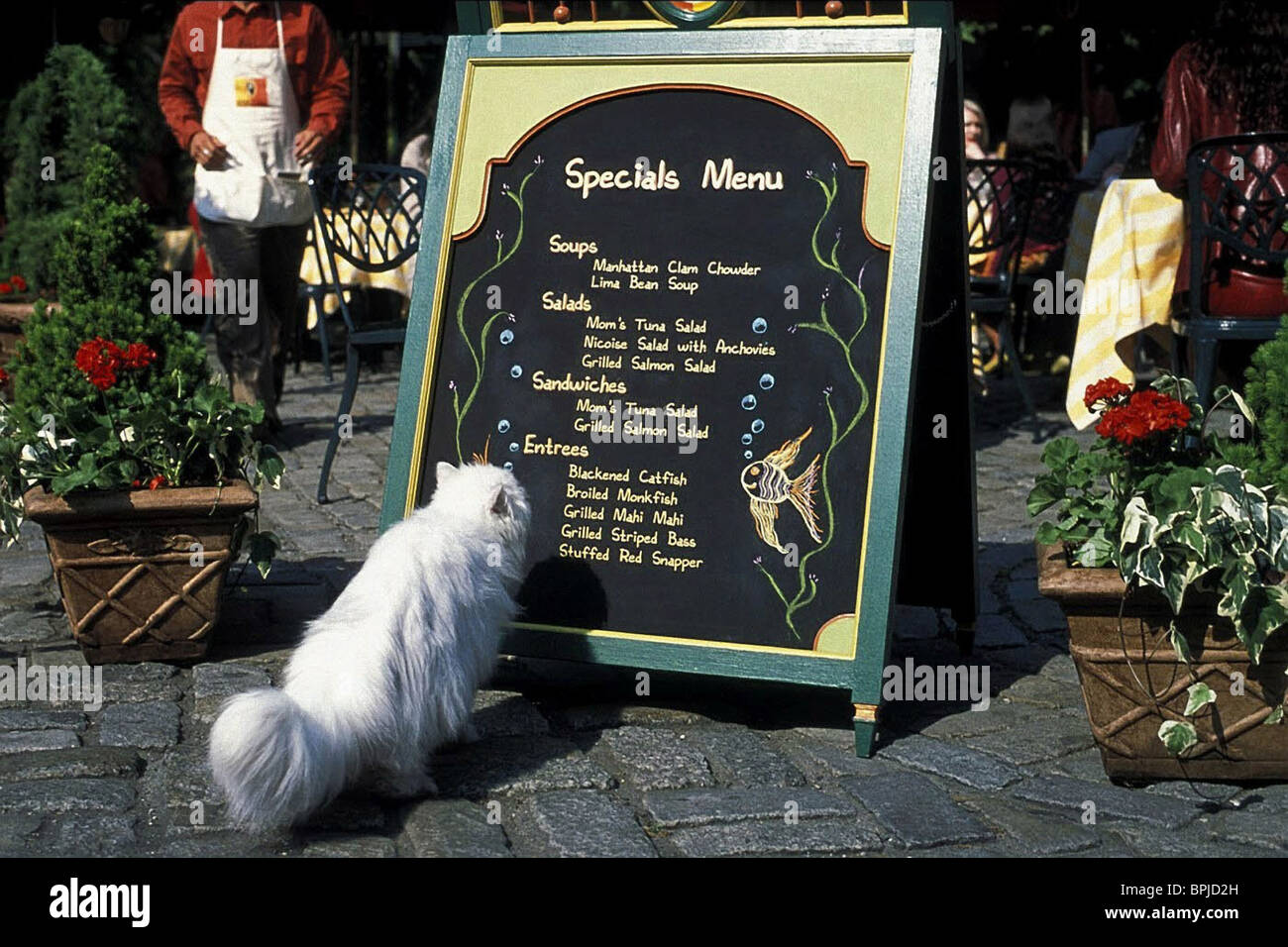 SNOWBELL THE CAT STUART LITTLE 2 (2002 Stock Photo 31138201 Alamy