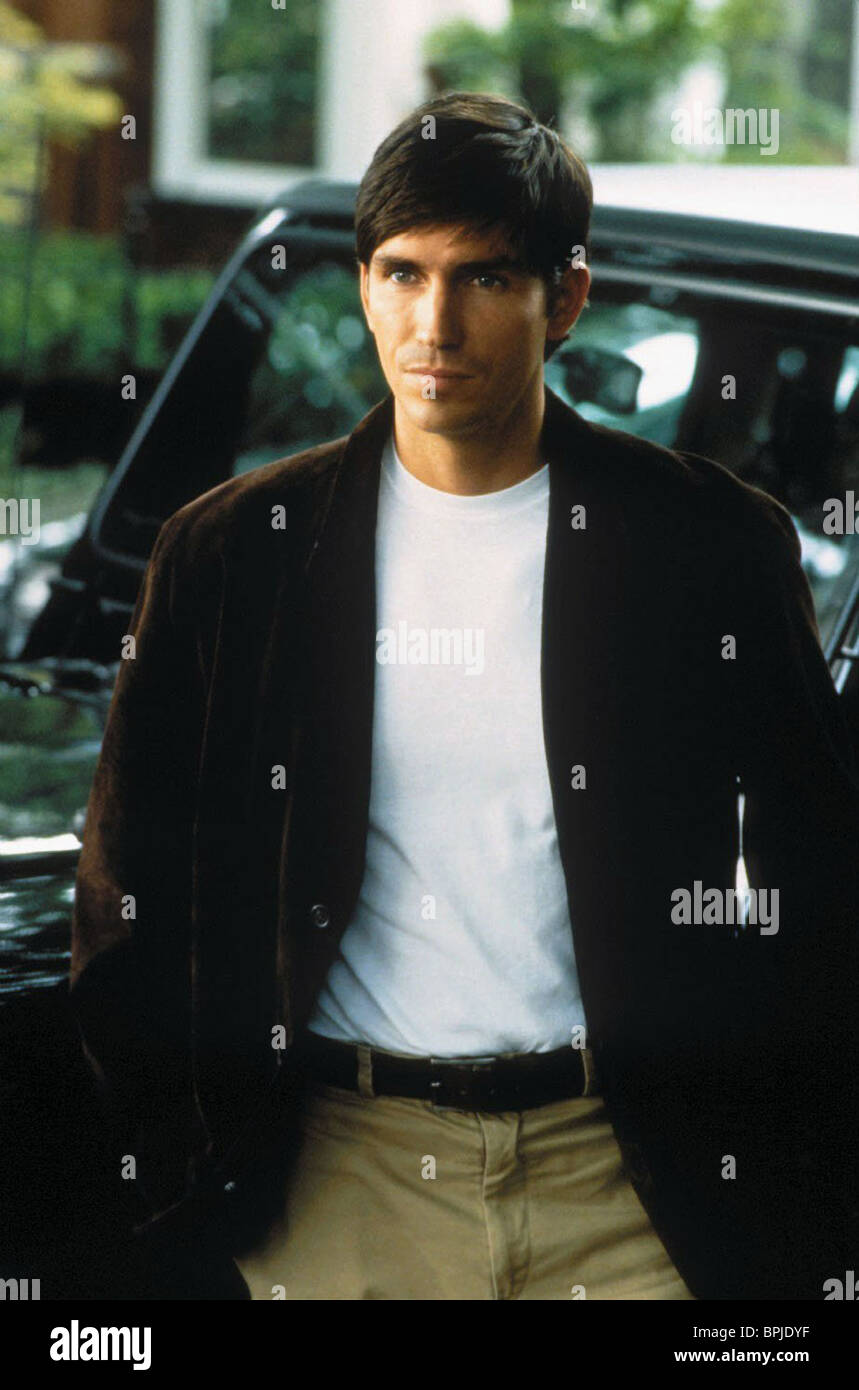 Steven Catch Lambert High Resolution Stock Photography and Images Alamy