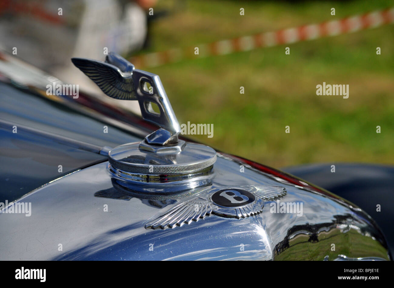 Bentley car mascot and badge Stock Photo