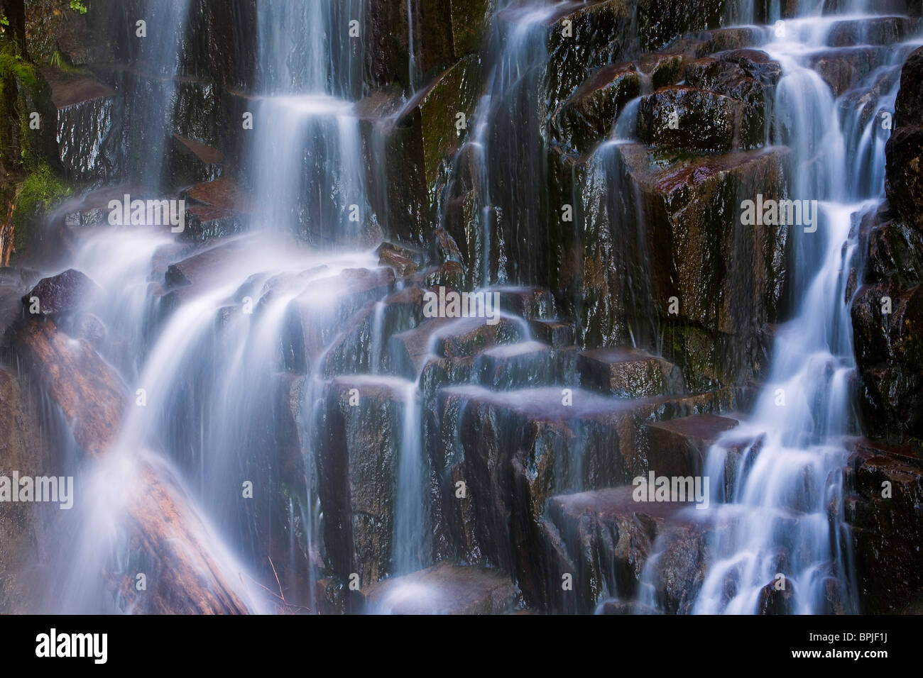 Stevens Creek Falls in Mt. Rainier National Park, Washington, USA Stock Photo