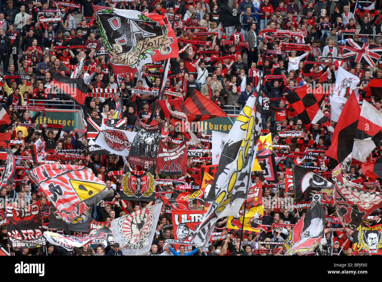 Fans, supporters of Bayer Leverkusen, german Bundesliga Stock Photo - Alamy