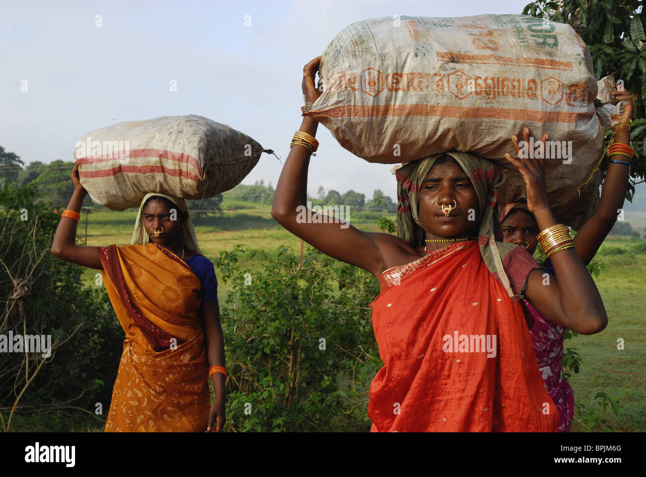 Women of Mali tribe on their way to market, Tribal region in Koraput ...