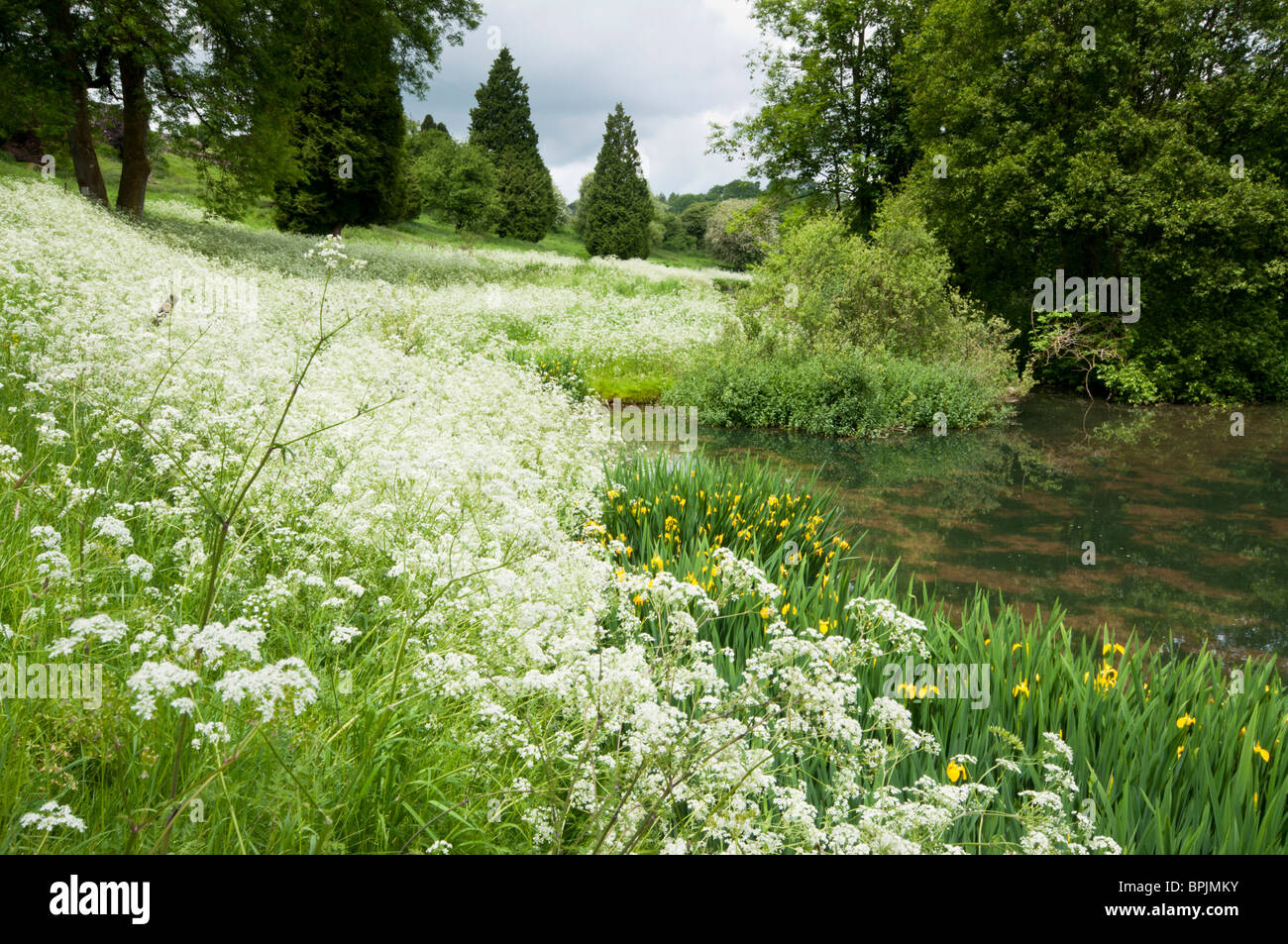 Late spring in Brimpsfield, Gloucestershire, Cotswolds, UK Stock Photo