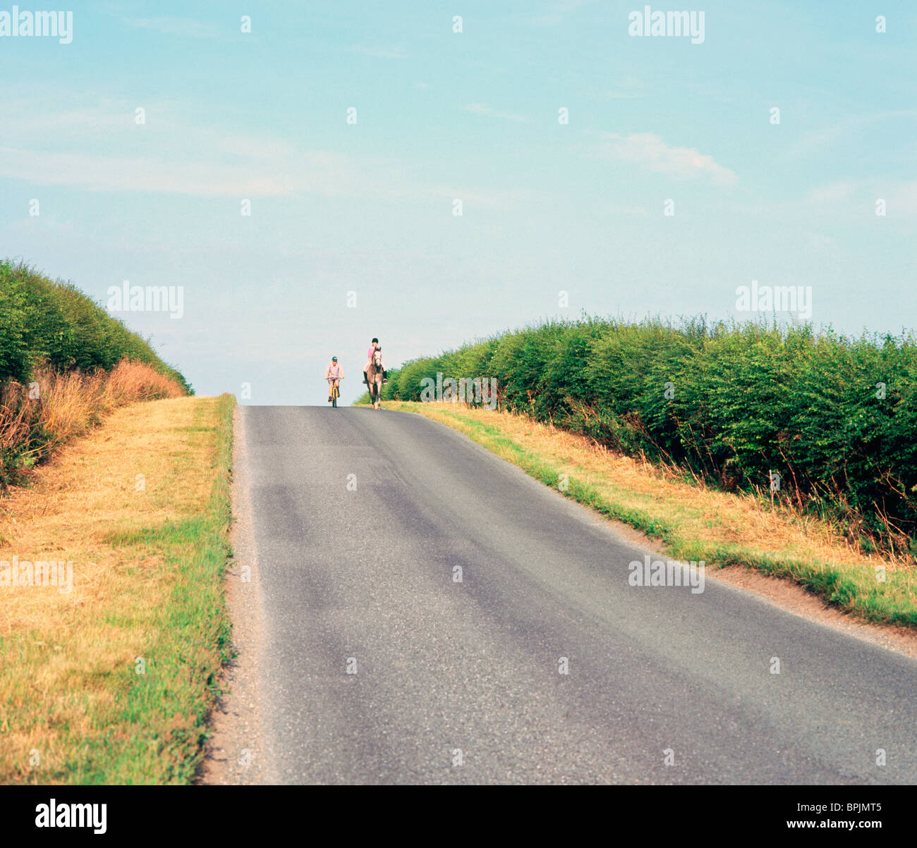 Horse and rider in Lincolnshire wolds Stock Photo Alamy