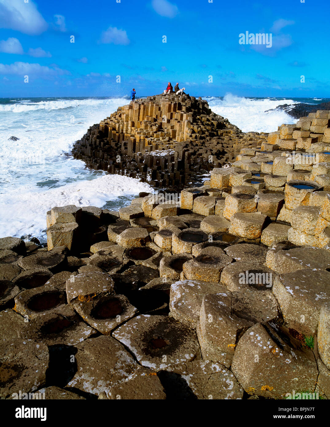 Giants chair hires stock photography and images Alamy
