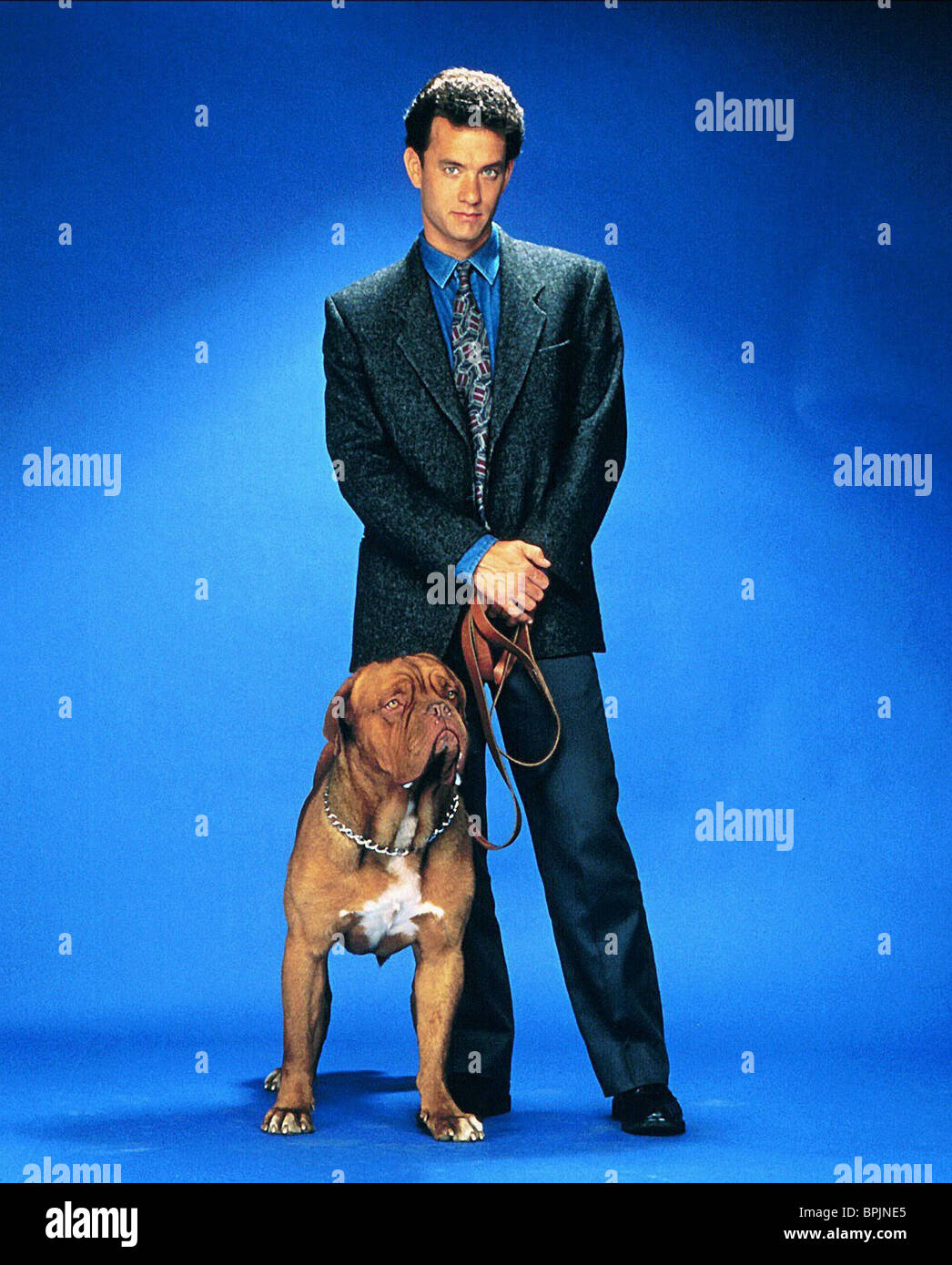 TOM HANKS & DOG TURNER & HOOCH (1989 Stock Photo 31144797 Alamy