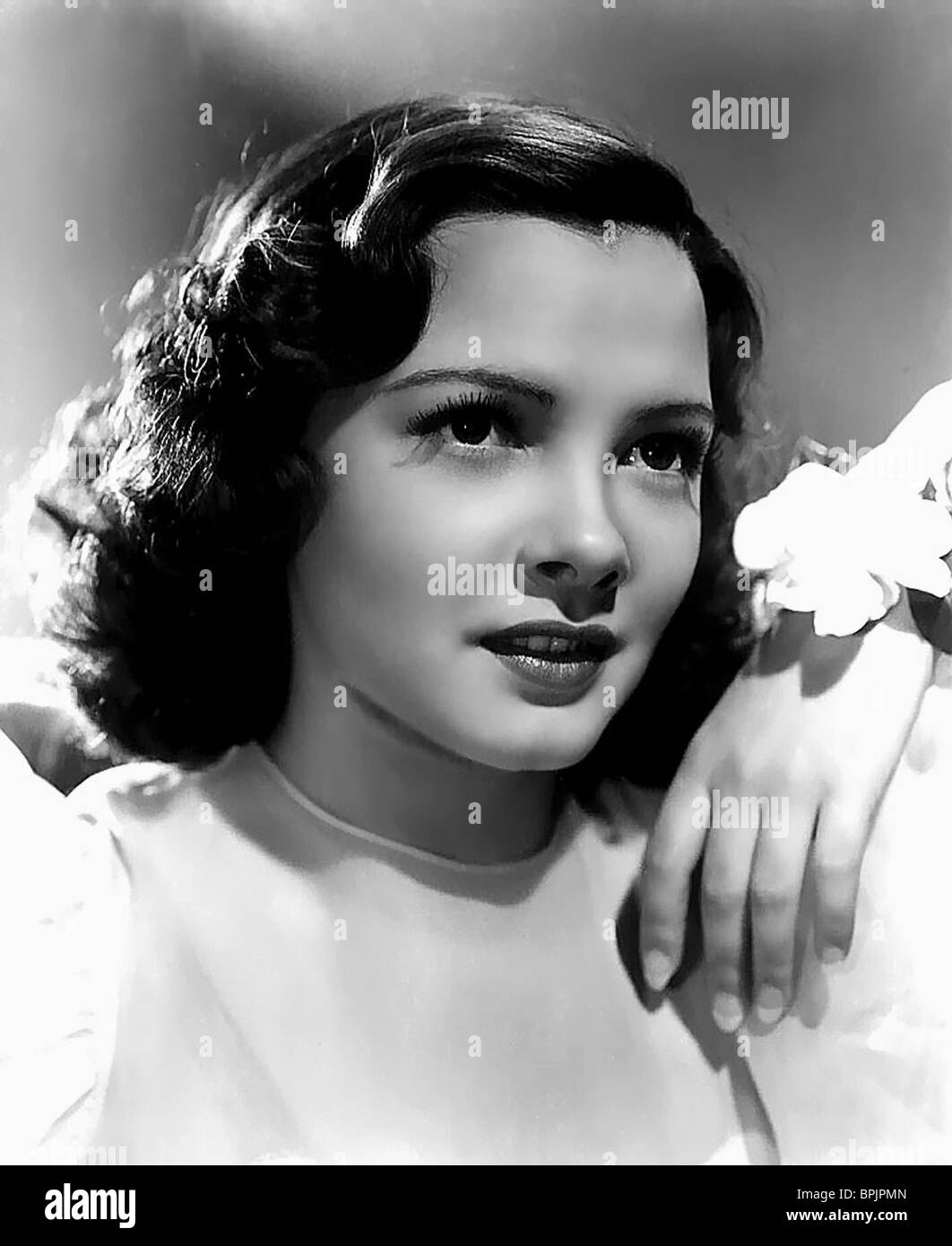 KATHRYN GRAYSON ANCHORS AWEIGH (1945 Stock Photo Alamy