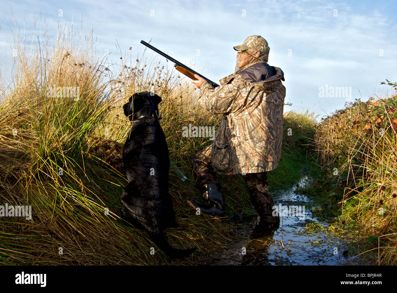 Goose Weaponry Goose hunter in camouflage clothing using autoloading shotguns rising ...