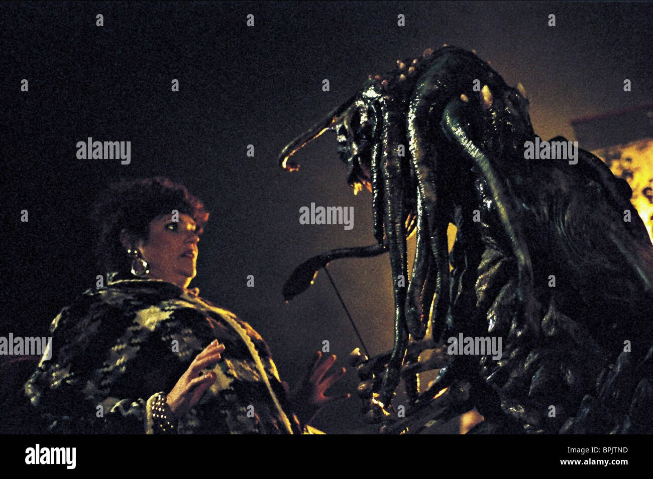 The Day The World Ended 2001 DEBRA CHRISTOFFERSON THE DAY THE WORLD ENDED (2001 Stock Photo - Alamy