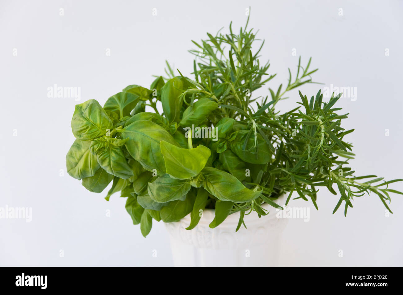 Rosemary and Basil Stock Photo Alamy