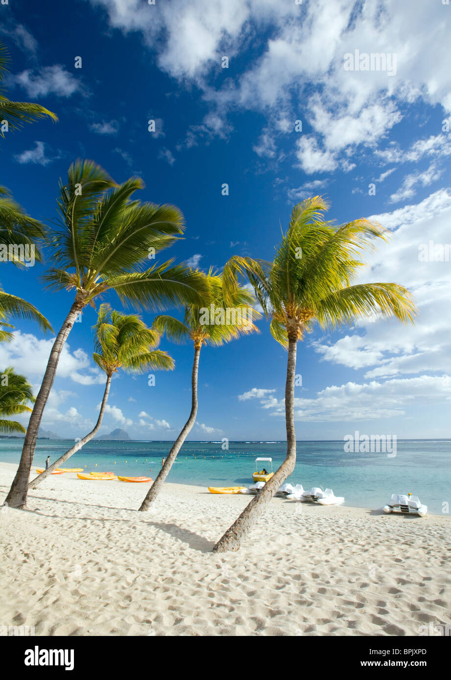 Beach and palm trees, Flic en Flac, Mauritius Stock Photo