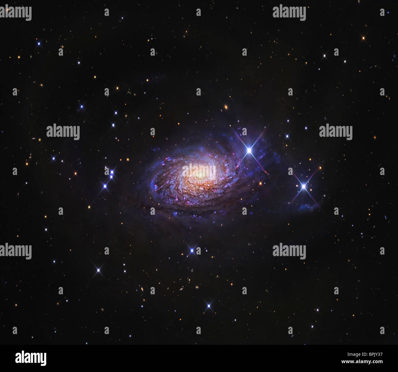 The Sunflower Galaxy Stock Photo Alamy