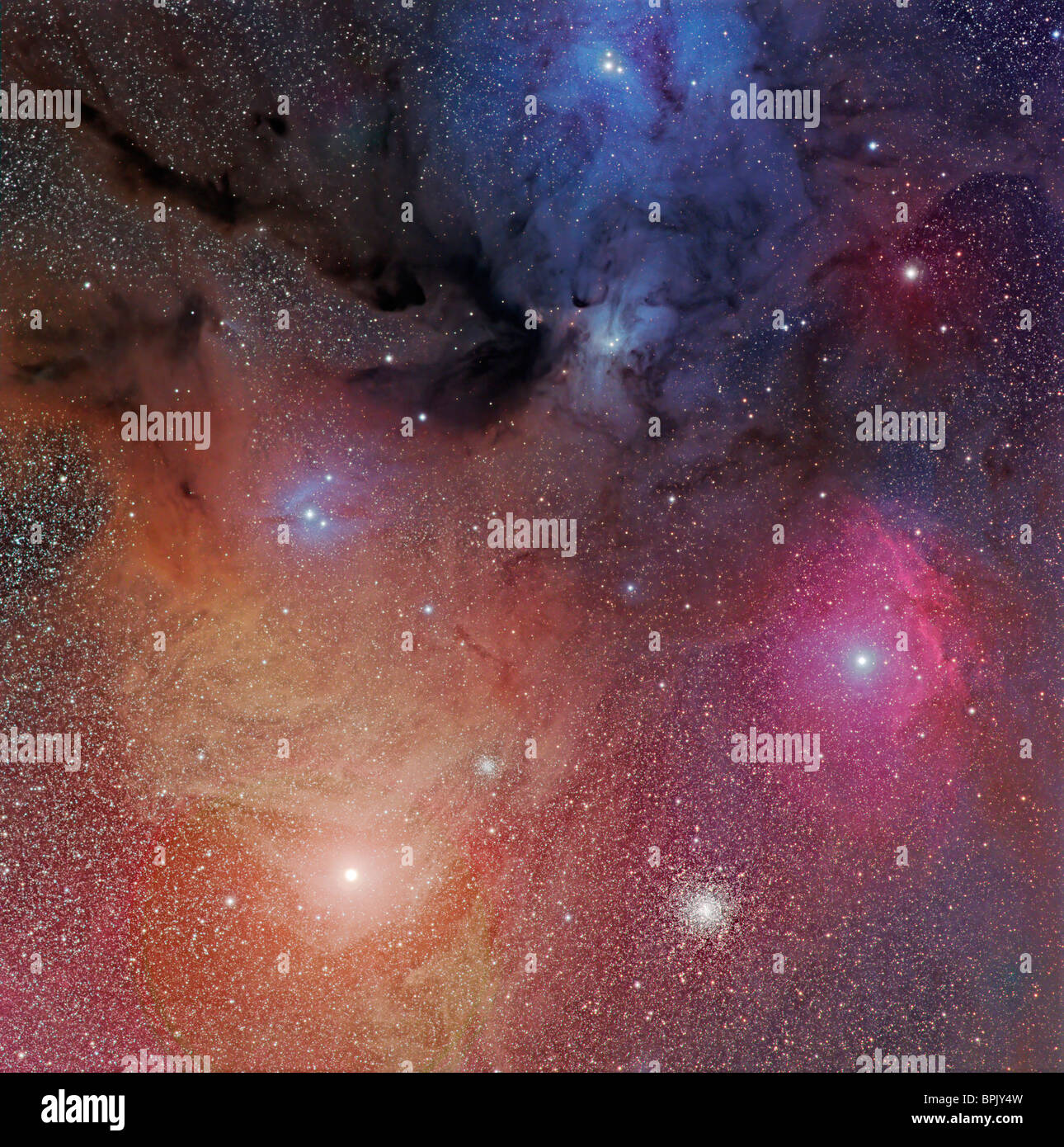 The starforming region of Rho Ophiuchus. Stock Photo