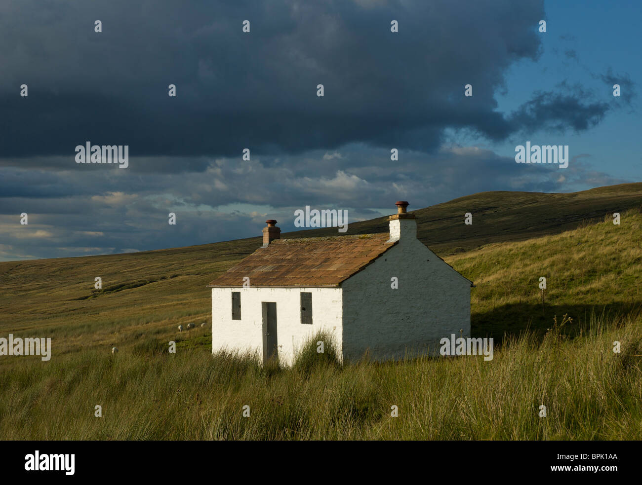 Tiny, isolated cottage on Hartside Moor near Alston, North Pennines, Cumbria, England UK Stock Photo