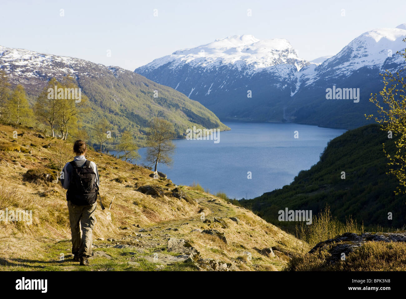 Young woman hiking on the Roldalsfjell looking to the Roldalsvatnet ...