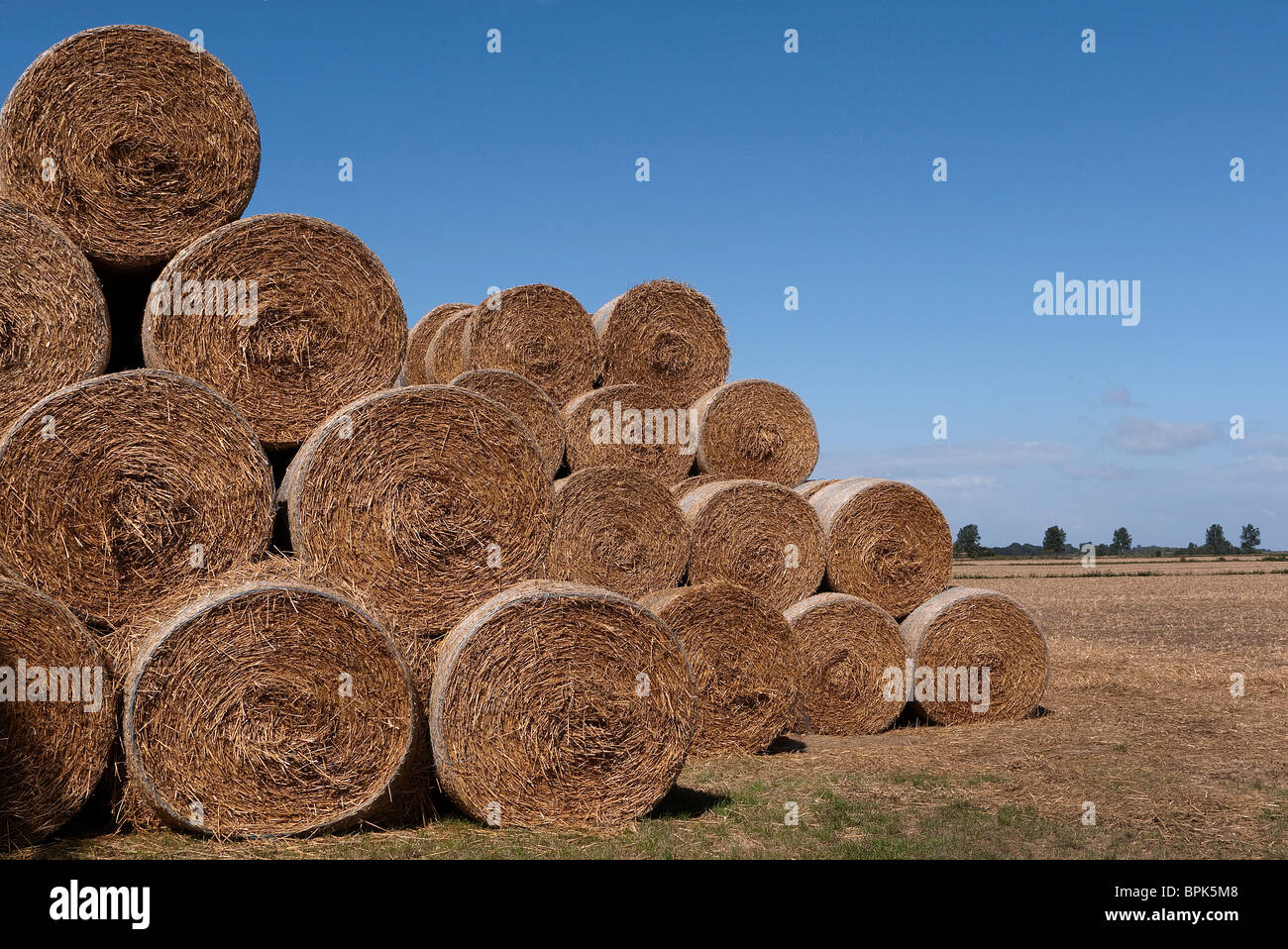 Large round straw bails stacked on the edge of a field in Kent UK Stock Photo