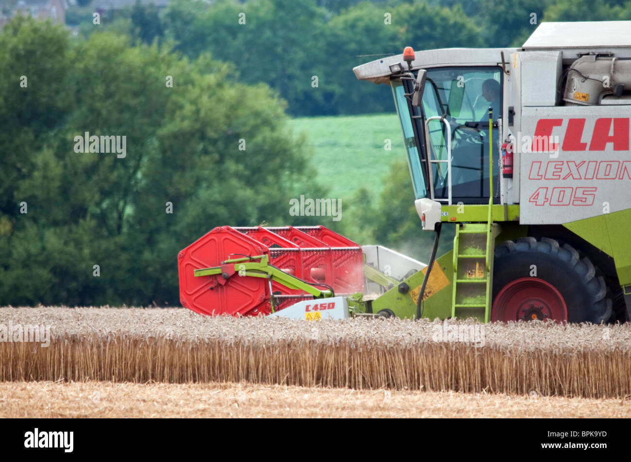 Combine Harvester harvesting wheat in Essex Stock Photo