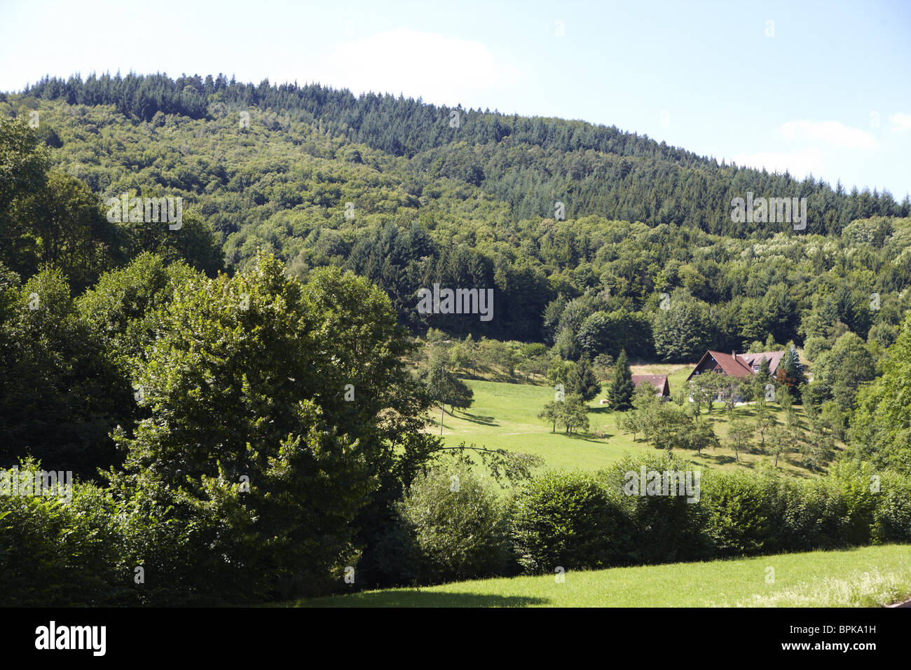 Two houses in the northern Black Forest, Baden-Wuerttemberg, Germany Stock Photo