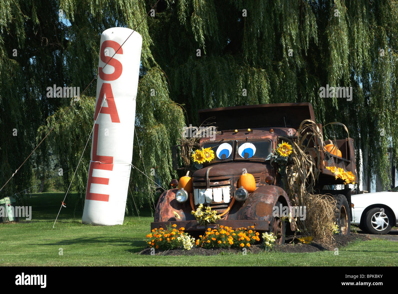 Rural store promotional signs Stock Photo