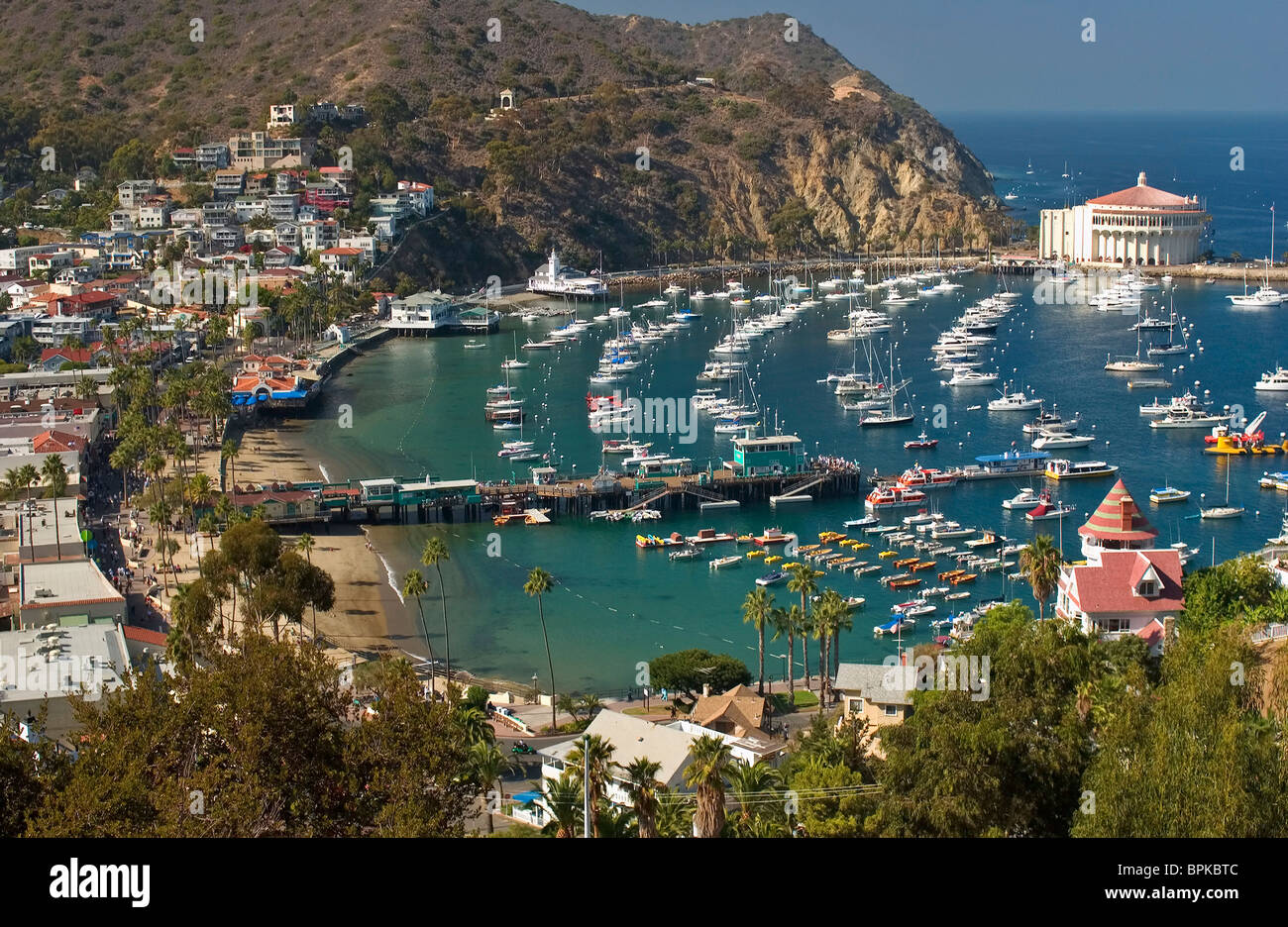 Avalon, Catalina Island, California, United States Stock Photo Alamy